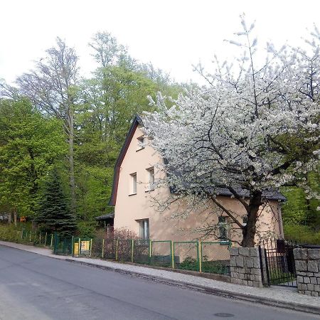 Willa Rozalia Szklarska Poręba Buitenkant foto